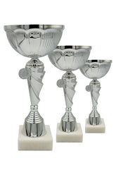 CTS 081 | SET de 3 Cupe Sportive - TrophyShop